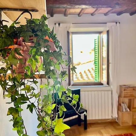 Apartmán - A Pochi Passi Da Piazza Del Campo *